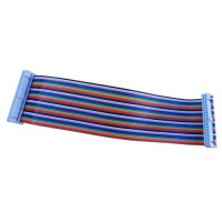 IDC40 Flat cable male-male 40 pins, rainbow color 20cm